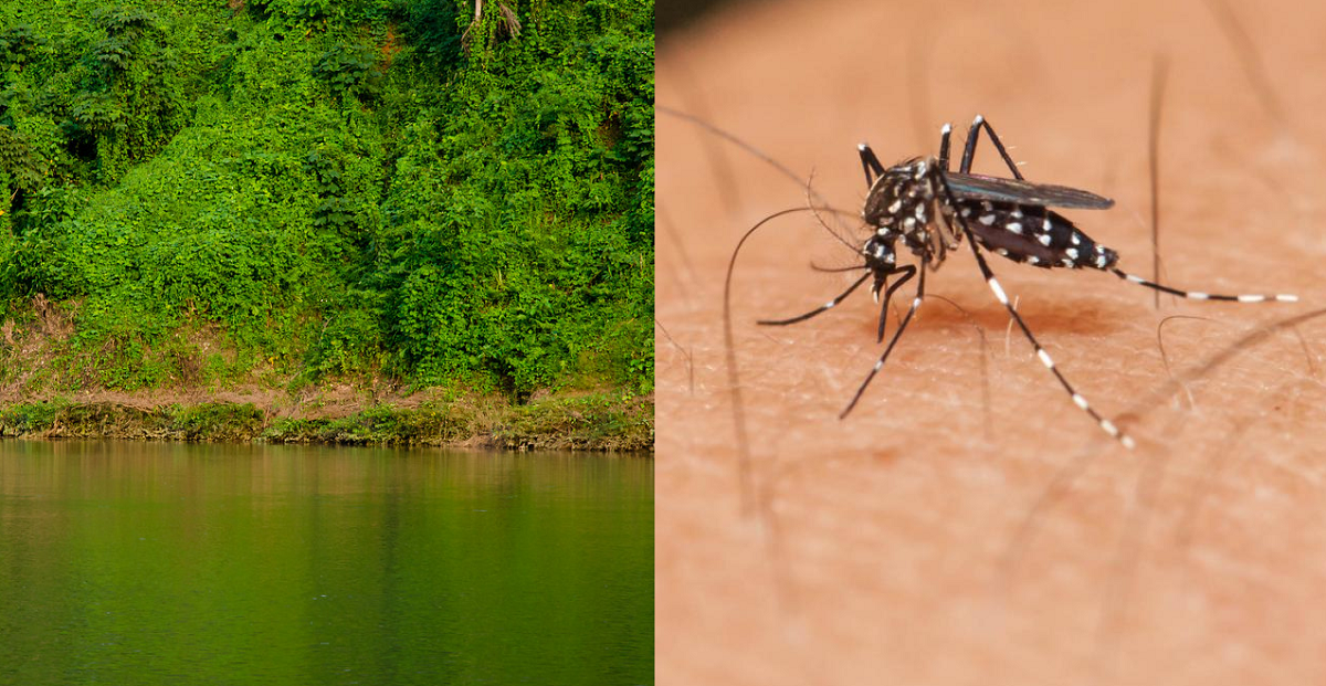 একমাত্র জেলা যেখানে এখনও ডেঙ্গু রোগী নেই