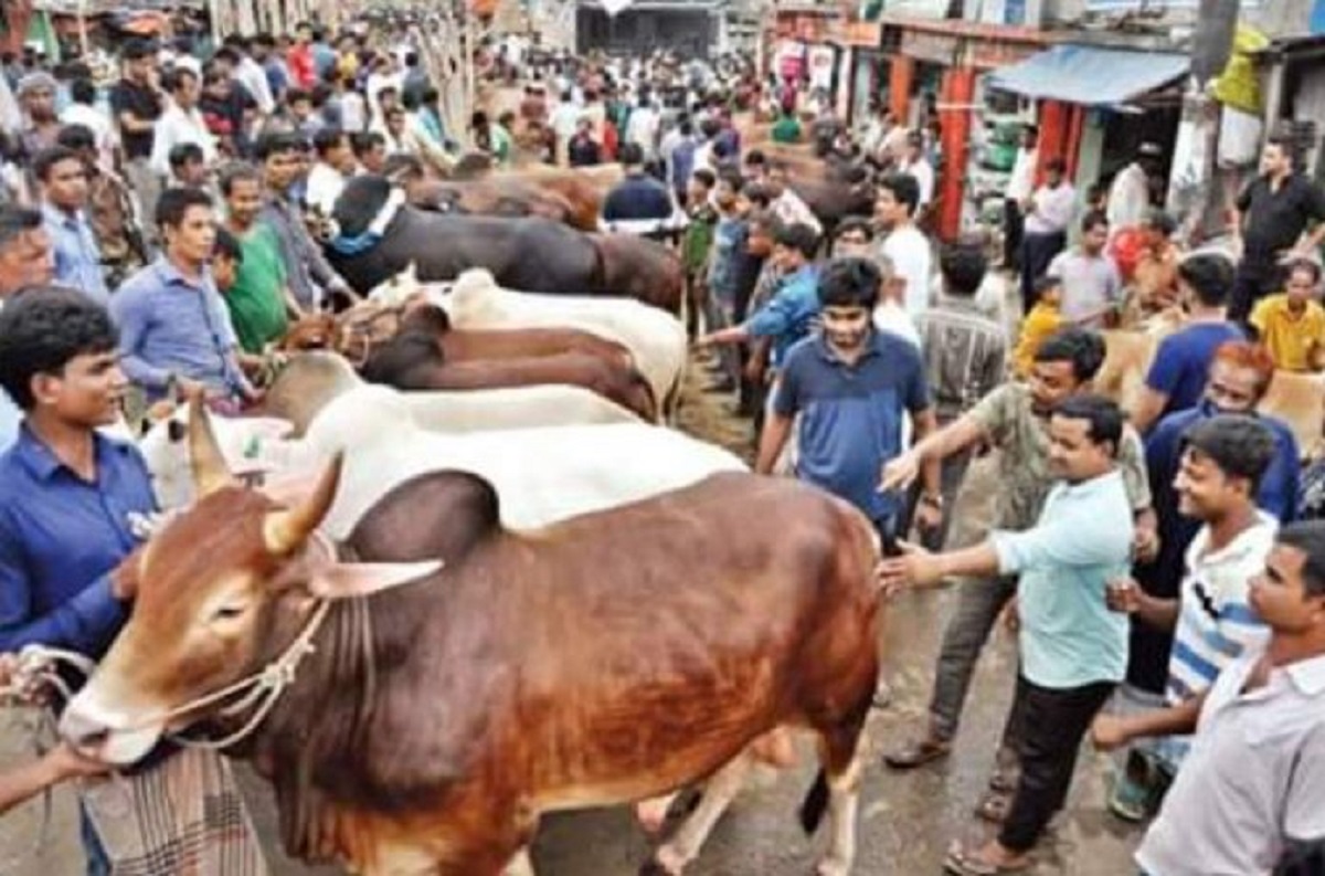 সামাজিক দূরত্ব মেনে বসবে পশুর হাট