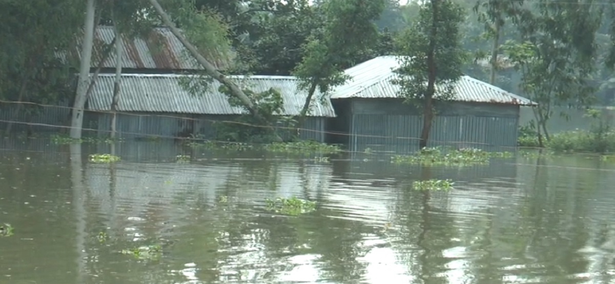 গাইবান্ধায় বন্যায় দেড় লাখ মানুষ পানিবন্দি