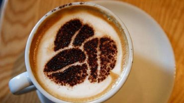 কফির উপরকার ও অপকারিতা