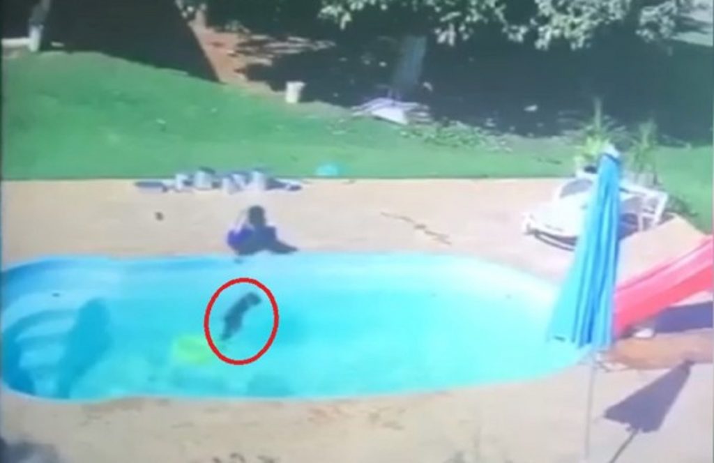 জলে ডুবে যাওয়ার হাত থেকে বন্ধুকে বাঁচাল তিন বছরের শিশু