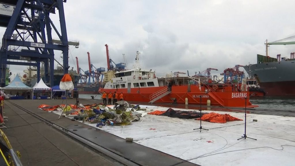 ইন্দোনেশিয়ায় বিমান বিধ্বস্তের ঘটনায় পাইলটসহ ১২ জনের মরদেহ শনাক্ত