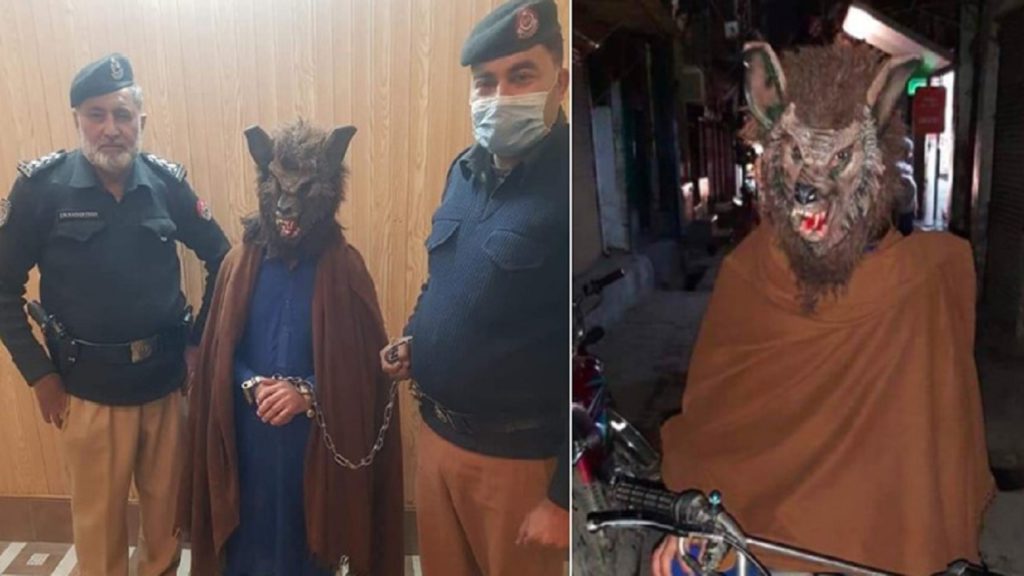 নববর্ষে নেকড়ের মুখোশ পরায় গ্রেফতার পাকিস্তানি যুবক