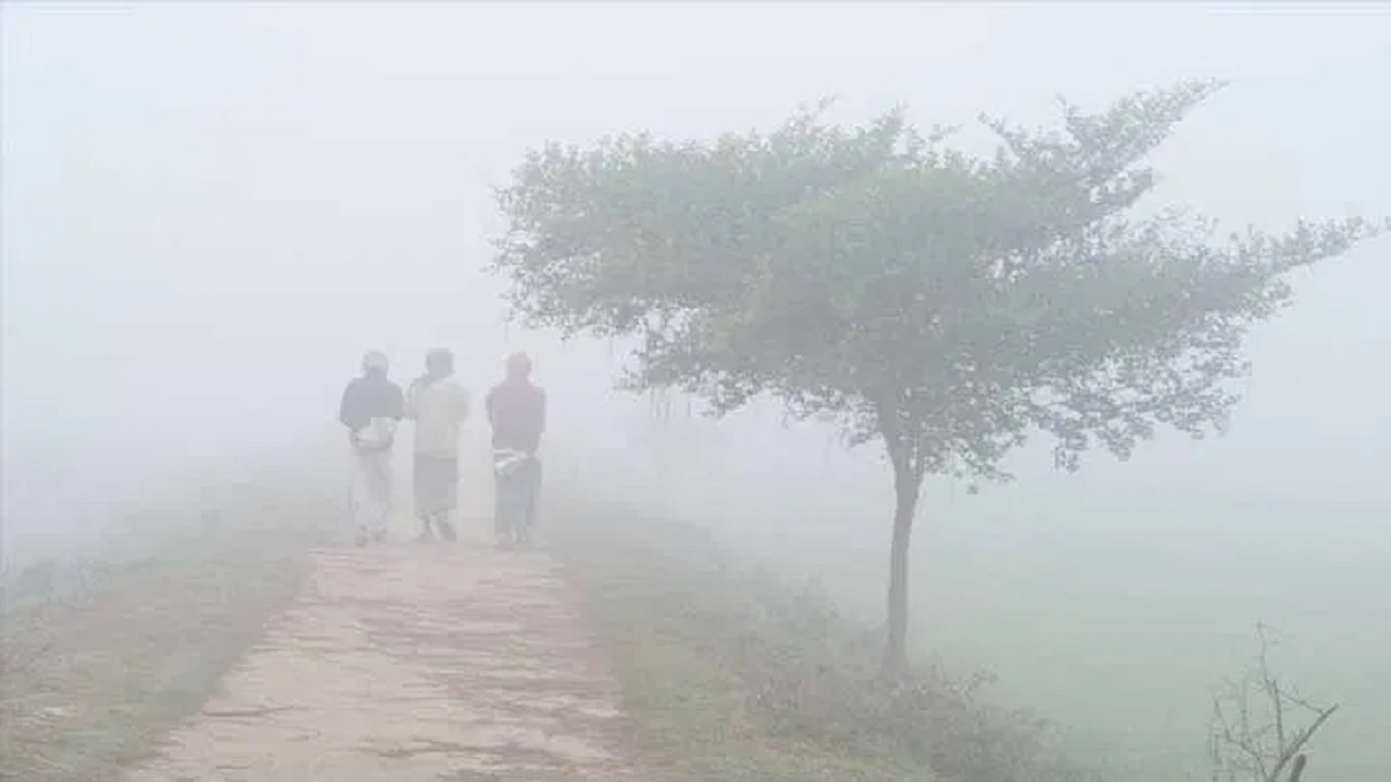 ফেব্রুয়ারির শুরুতেই আরও দুটি শৈত্যপ্রবাহ, মাস শেষে হতে পারে বজ্রঝড়