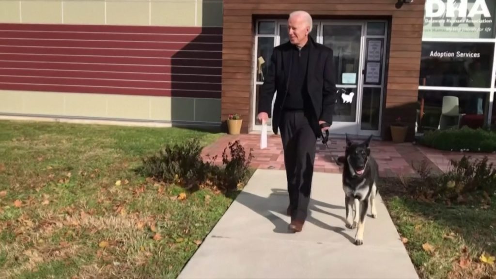 বাইডেনের কুকুর দু'টিকে সরিয়ে নেয়া হয়েছে হোয়াইট হাউজ থেকে