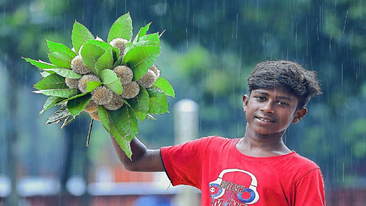 আষাঢ়ের প্রথম দিন আজ