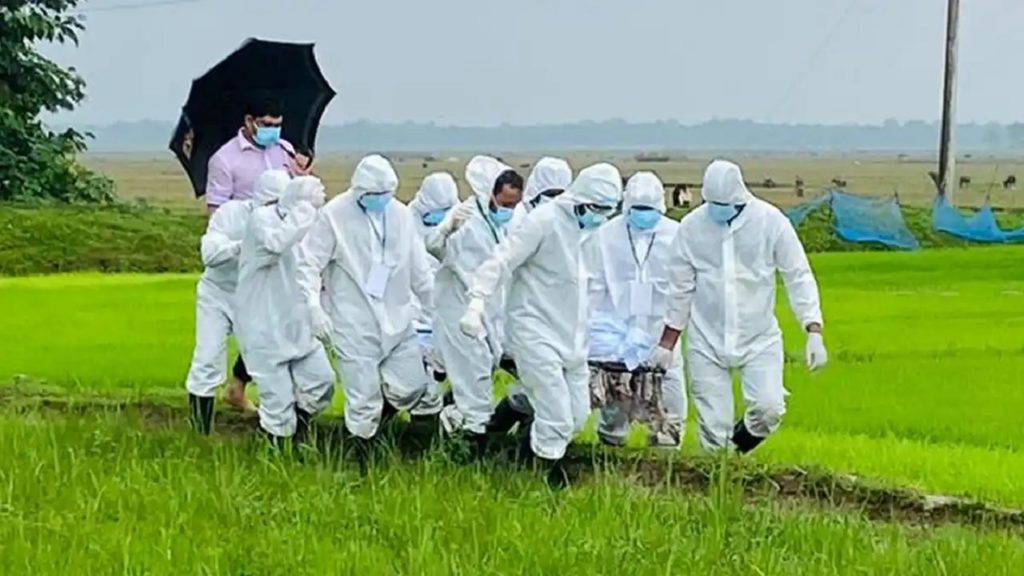 করোনা ও উপসর্গ নিয়ে কয়েক জেলায় আরও ৭০ মৃত্যু