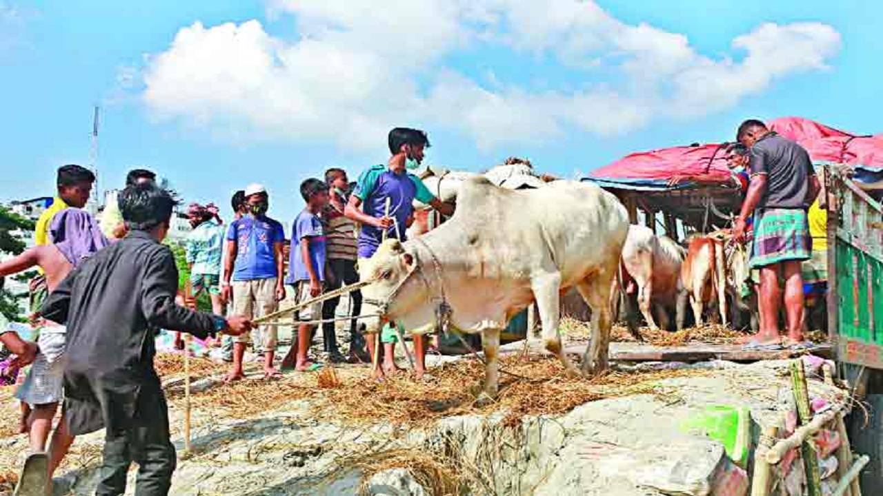 রাজধানীতে ১৭ জুলাই থেকে কোরবানির হাট শুরু