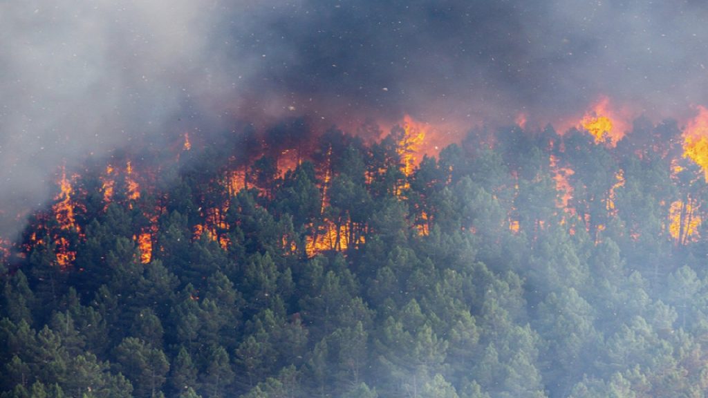 গ্রীস-ব্রাজিল-প্যারাগুয়ে ছড়িয়েছে তীব্র দাবানল; পুড়ে ছাই বিস্তীর্ণ বনভূমি