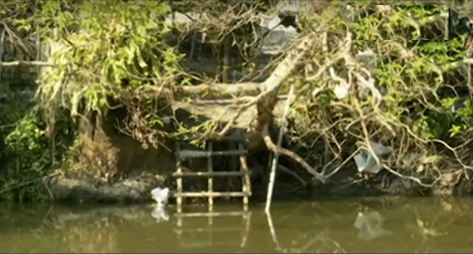 রাতের আঁধারে জমজ শিশুকন্যাকে পুকুরে ফেলে দেন মা