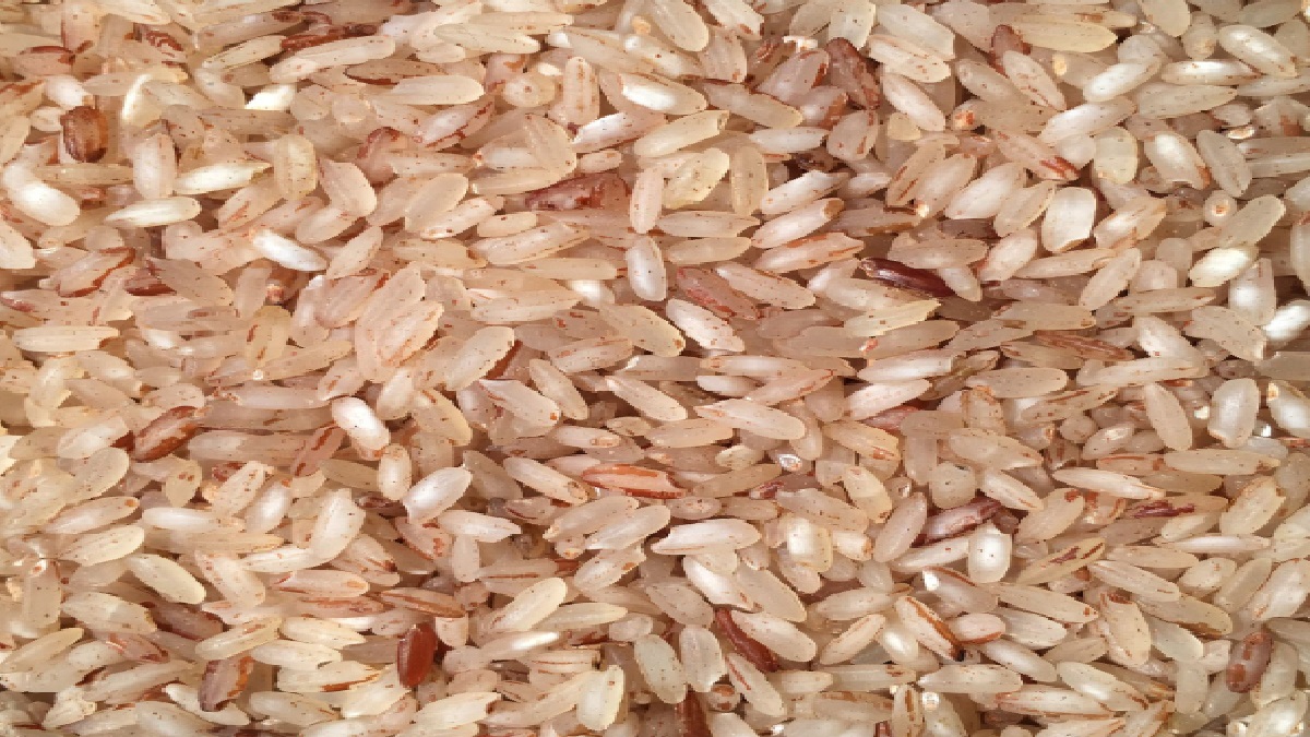 মোটা চালের দাম কমলেও বাড়ছে সরু চালের দাম