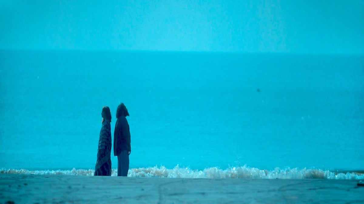 ৯টি আন্তর্জাতিক চলচ্চিত্র উৎসবে সম্মাননা পেলো রায়হান শশীর ডেজা ভু