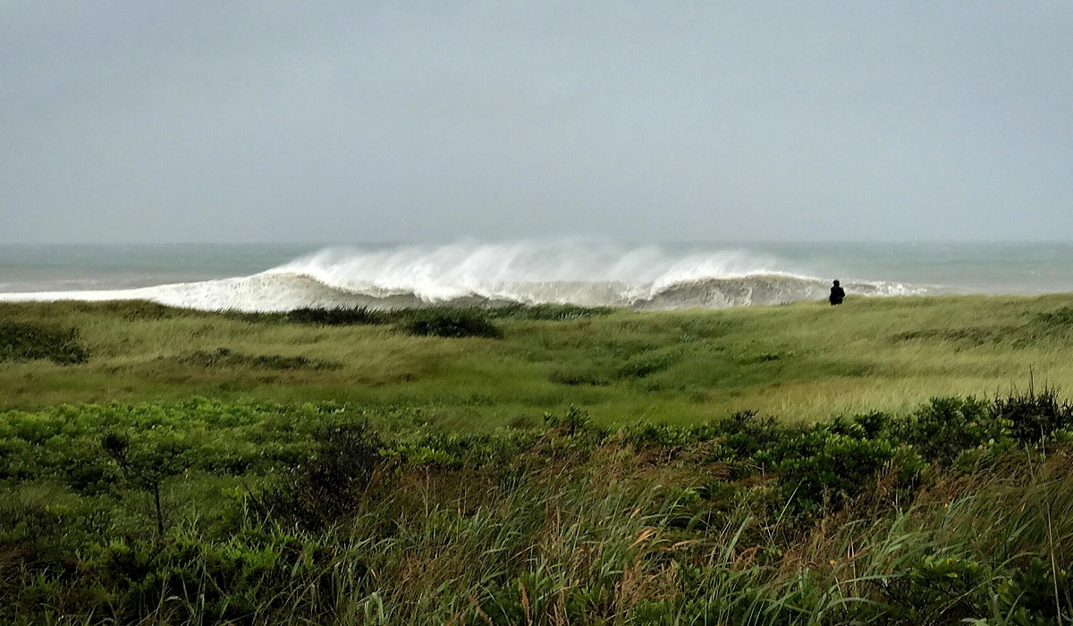 হ্রদ থেকে ওবামার ব্যক্তিগত শেফের মরদেহ উদ্ধার