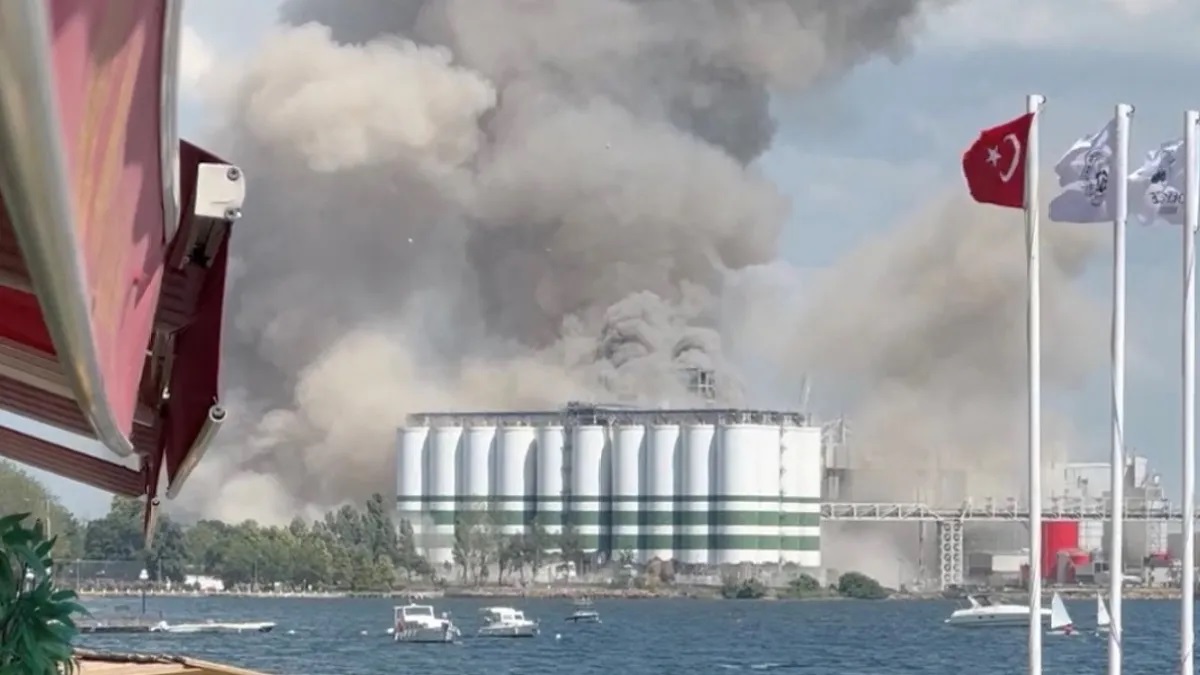 তুরস্কে শস্য গুদামে বিস্ফোরণে আহত ১২