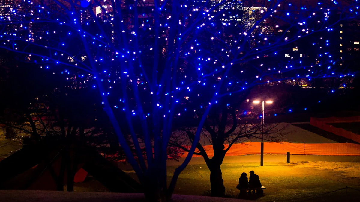ফটো স্টোরি: জাপানি দম্পতিদের জন্য ক্রিসমাস ২য় ভ্যালেন্টাইনস ডে