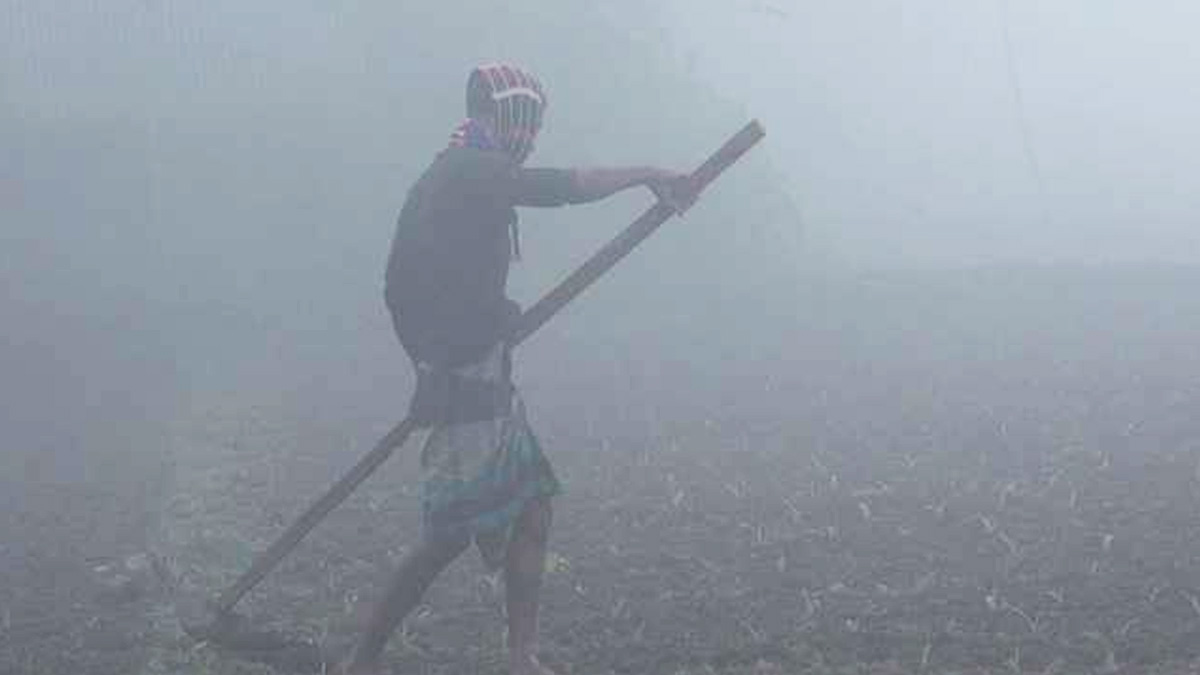 কিছুটা কমতে পারে শীত, পূর্বাভাসে যা জানা গেলো