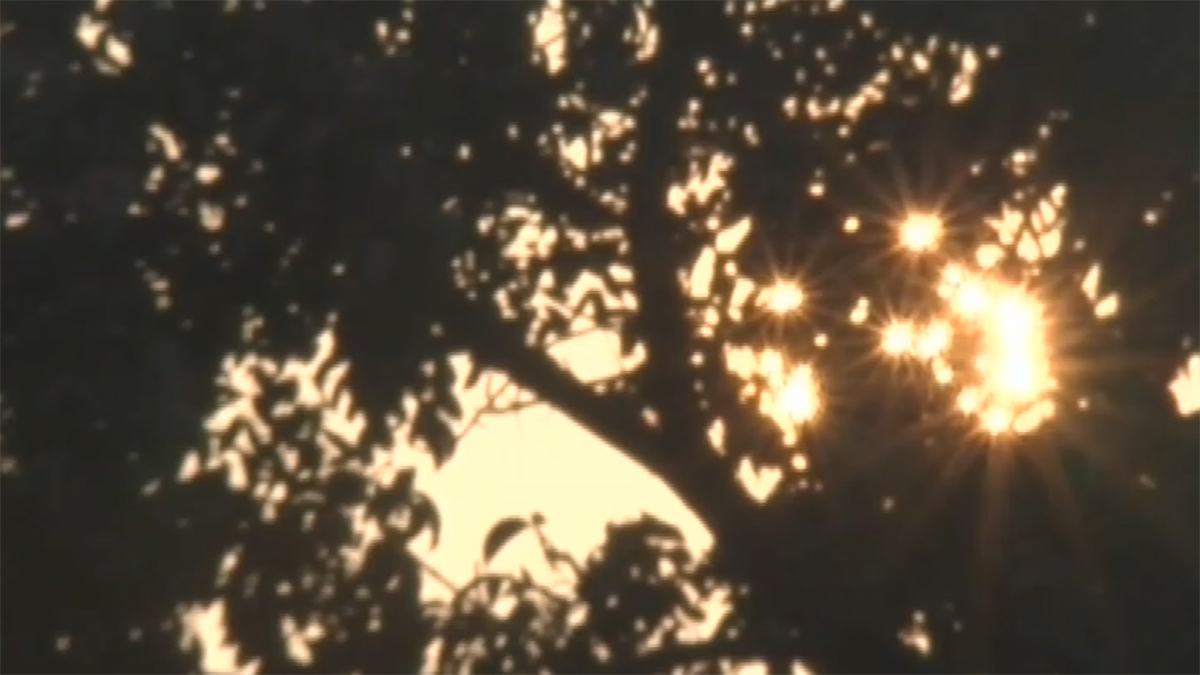 সূর্য উঠলেও আবারও শৈত্যপ্রবাহের সময় জানালো আবহাওয়া অফিস