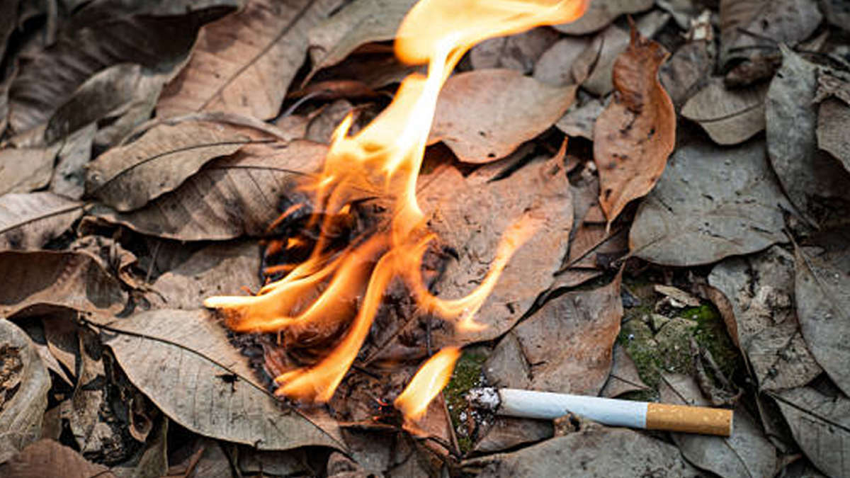 এক বছরে বিড়ি-সিগারেট থেকে ৪ হাজারের বেশি অগ্নিকাণ্ড