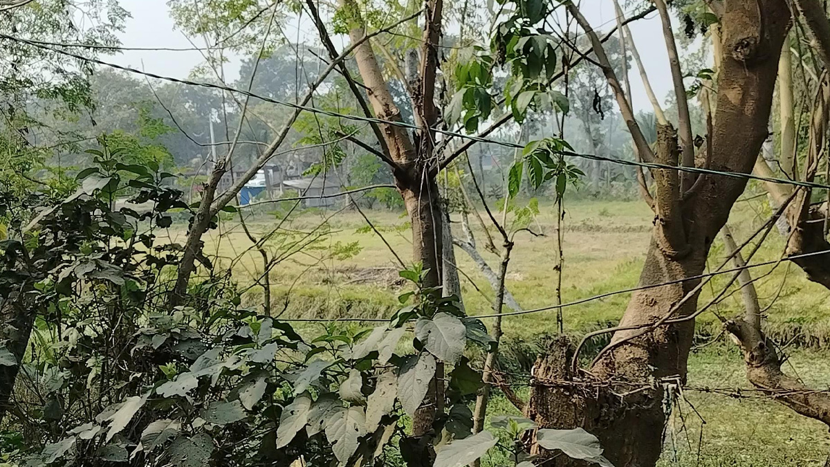 সাতক্ষীরা সীমান্তে বিএসএফের ৪ রাউন্ড ফাঁকা গুলি