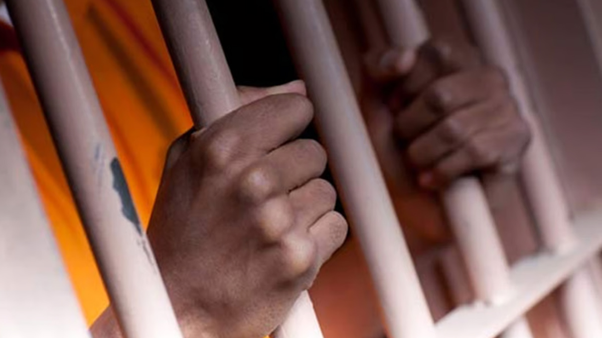 ১০ হাজার অবৈধ প্রবাসীকে ফেরত পাঠাল সৌদি