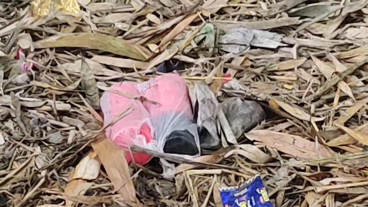 চুয়াডাঙ্গার দর্শনায় ফের ৭টি বোমার সন্ধান, উদ্ধারে আইনশৃঙ্খলাবাহিনী