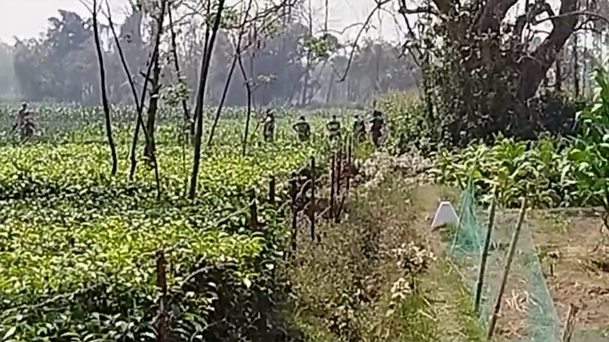 দহগ্রাম সীমান্তে আবারও কাঁটাতারের বেড়া নির্মাণ চেষ্টা বিএসএফের, বিজিবির বাধা