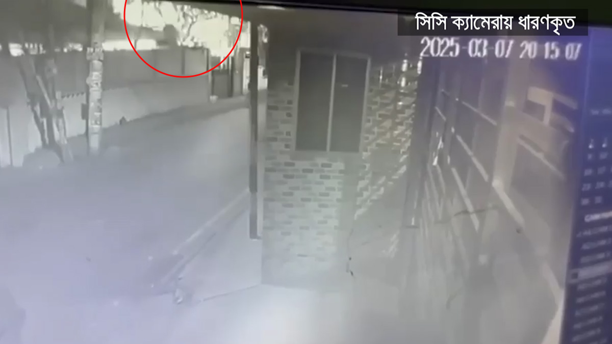উপদেষ্টা ফরিদা আখতার-ফরহাদ মজহারের প্রতিষ্ঠানে পেট্রোল বোমা নিক্ষেপ