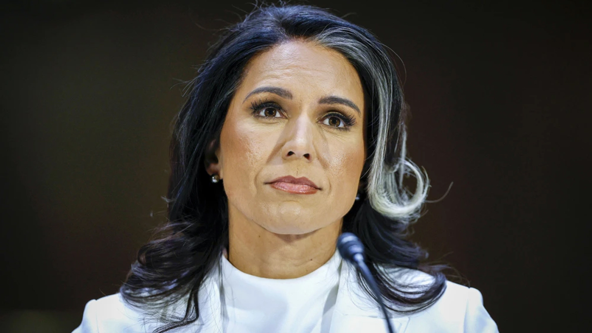 বাংলাদেশ পরিস্থিতি ও সংখ্যালঘু নির্যাতন নিয়ে উদ্বিগ্ন যুক্তরাষ্ট্র: মার্কিন গোয়েন্দাপ্রধান