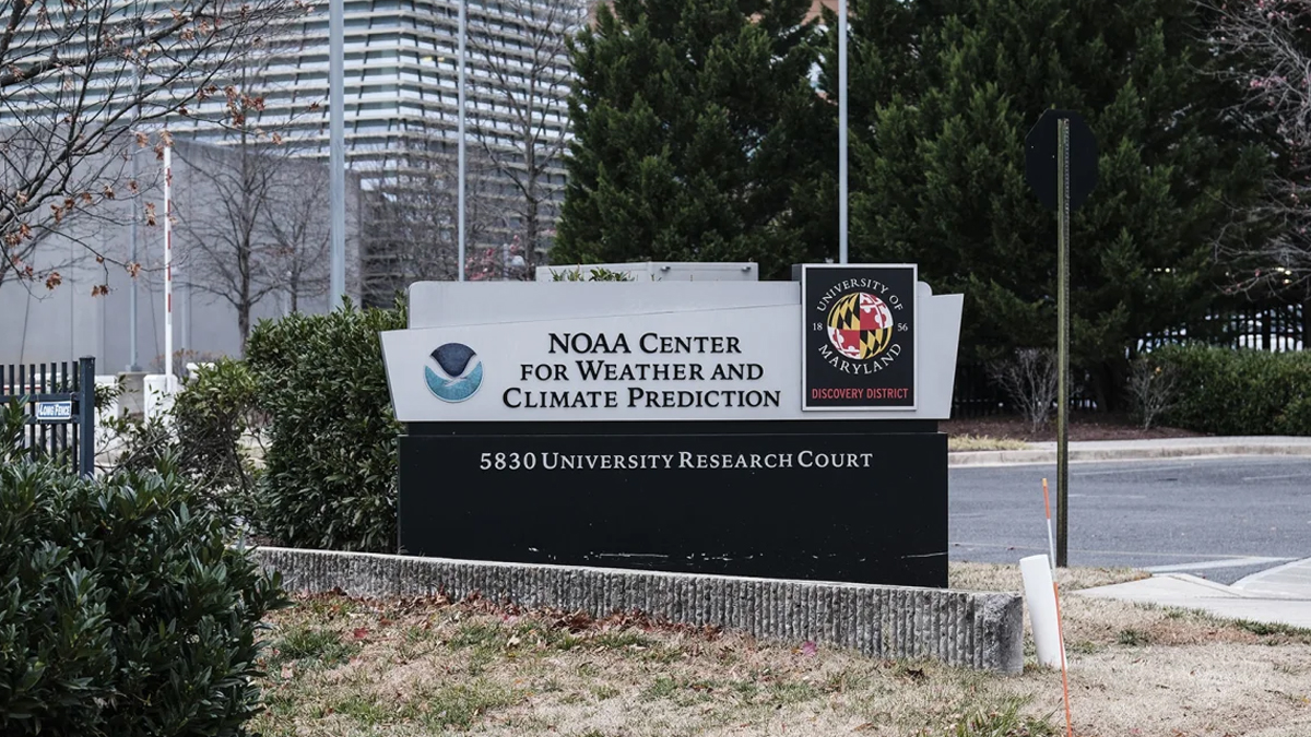 ৮শ’ আবহাওয়াবিদকে বরখাস্ত করেছেন ট্রাম্প