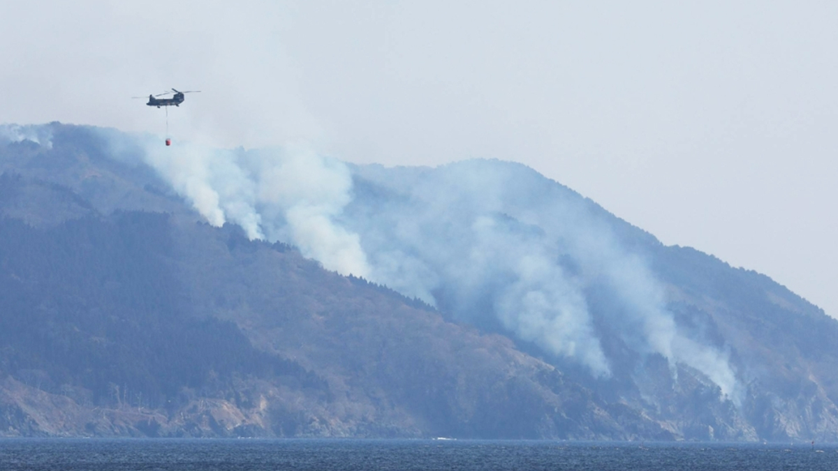কয়েক দশকের মধ্যে সবচেয়ে বড় দাবানলের মুখোমুখি জাপান