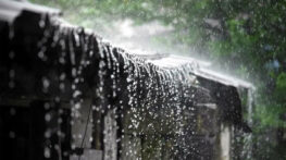 টানা পাঁচ দিন বৃষ্টির পূর্বাভাস