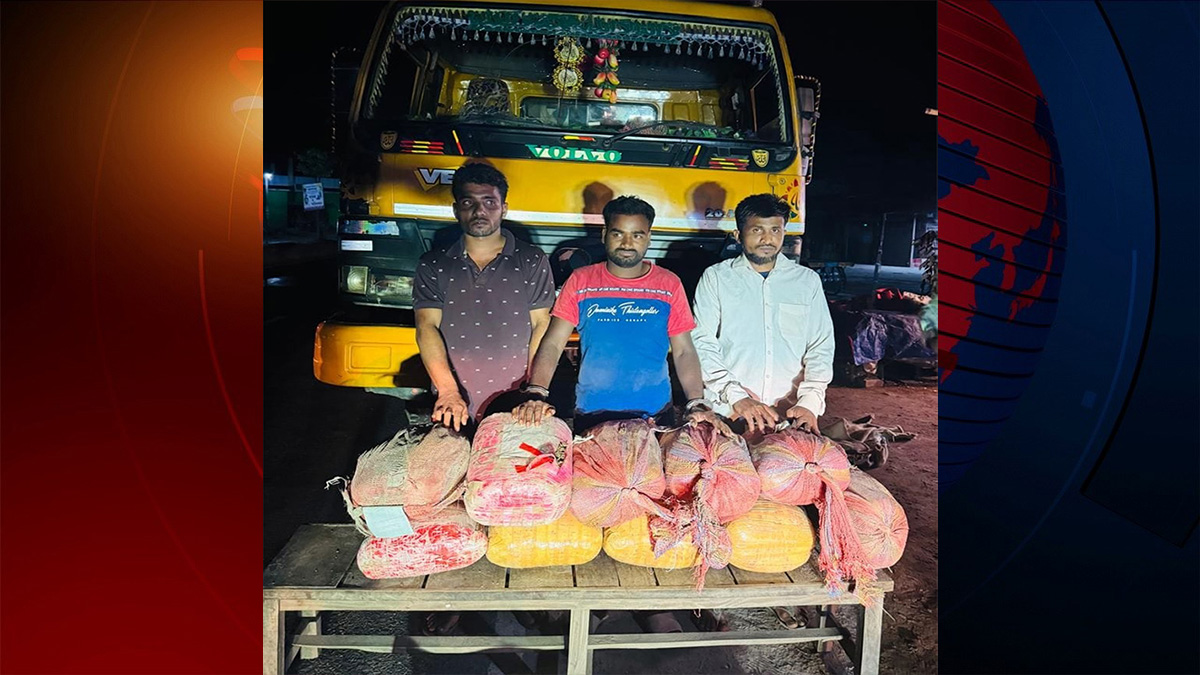 নাটোরে ৫২ কেজি গাঁজাসহ আটক ৩