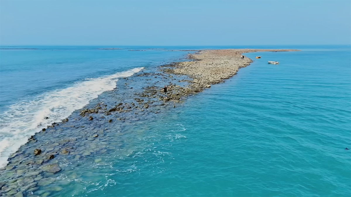 সেন্টমার্টিনে পর্যটক নেই, জীববৈচিত্র্যে ফিরেছে প্রাণ, তবে স্থানীয়রা কষ্টে