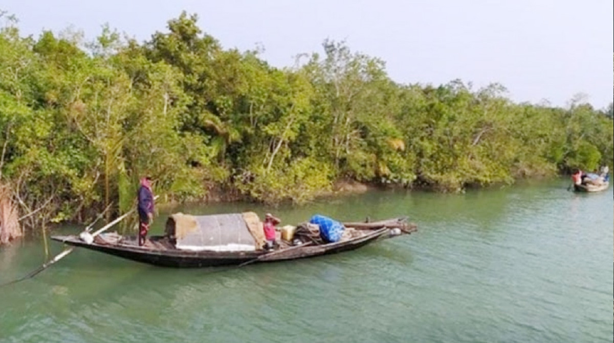 বাংলাদেশ সীমান্তে ঢুকে জেলেদের তিনটি নৌকা নিয়ে গেছে বিএসএফ
