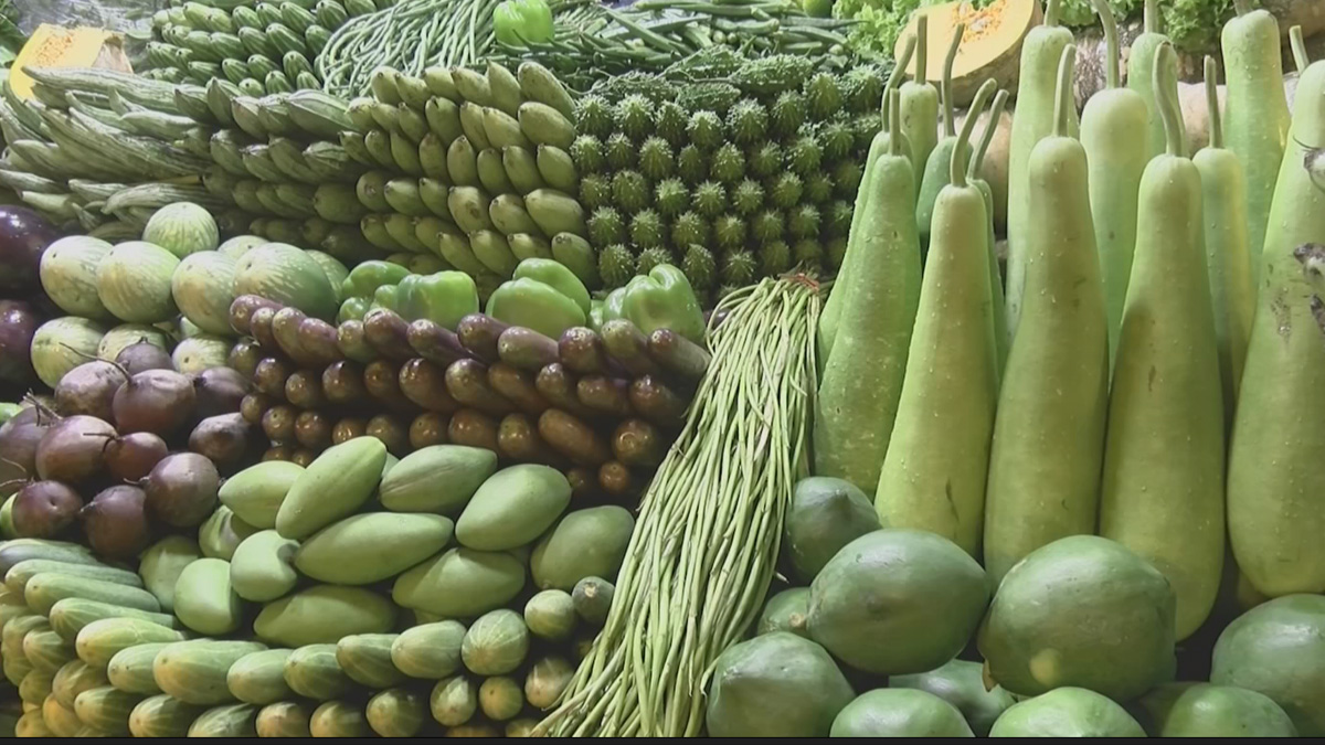 ঢাকায় সবজির দাম বাড়তে থাকলেও বাইরের চিত্র ভিন্ন, ন্যায্যমূল্য না পাওয়ায় হতাশ কৃষকরা