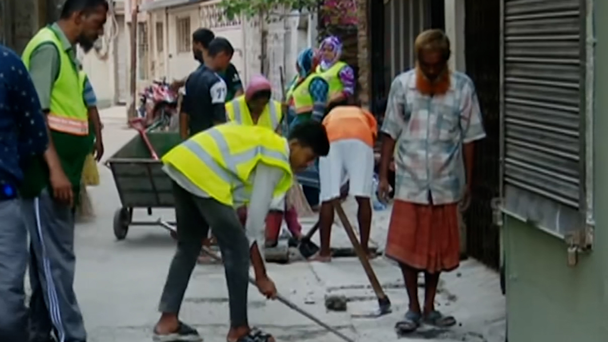 মশার উপদ্রব কমাতে নিজ বাড়ির আঙিনা পরিষ্কার রাখার আহ্বান