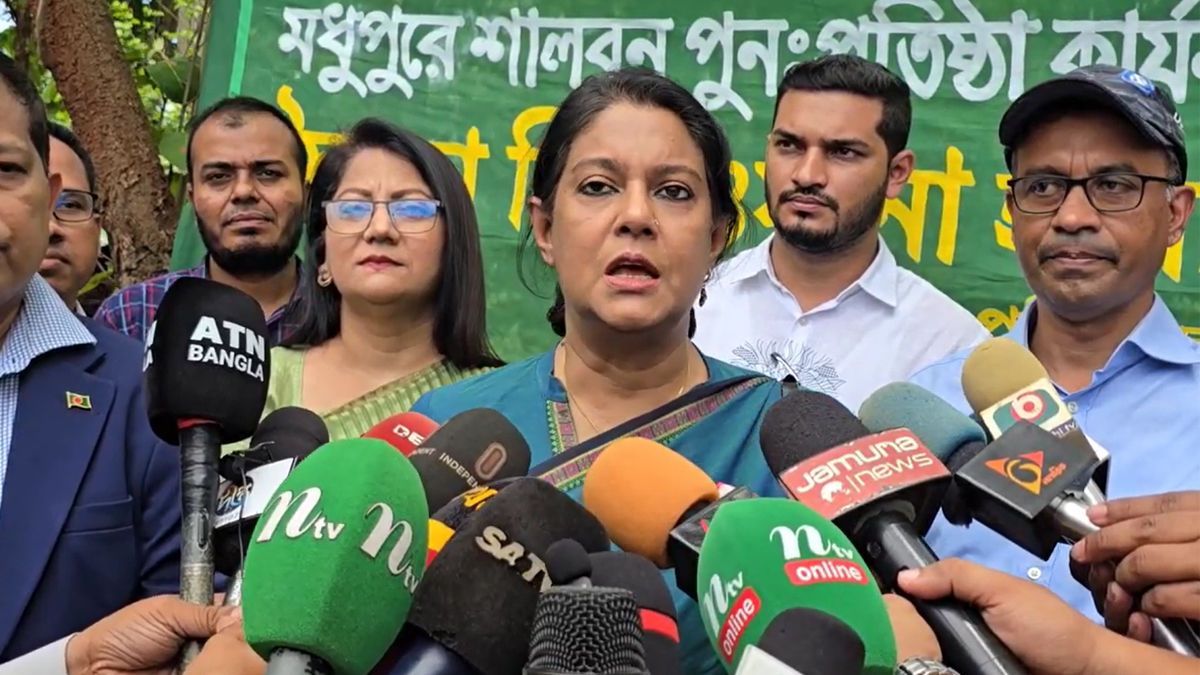 মধুপুর শালবনে আবারও শাল গাছ ফেরত আনার ঘোষণা উপদেষ্টা রিজওয়ানার