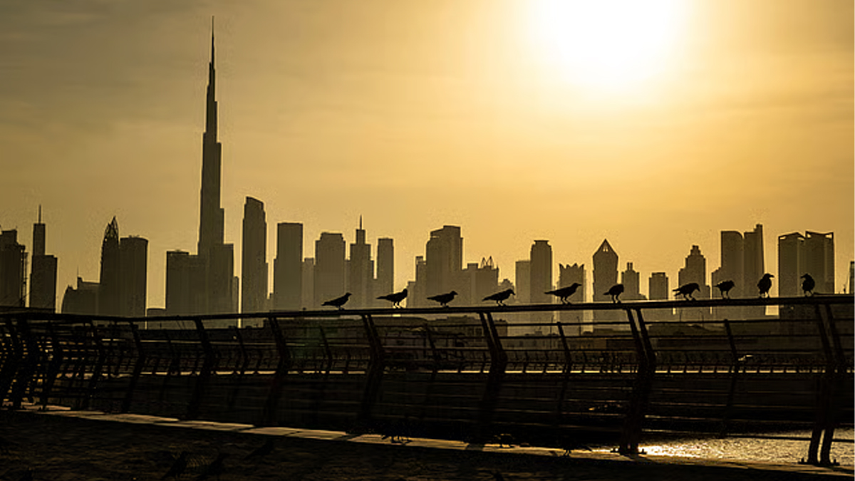 ২০০৯ সালের পর মে মাসে সর্বোচ্চ তাপমাত্রা দেখলো আরব আমিরাত