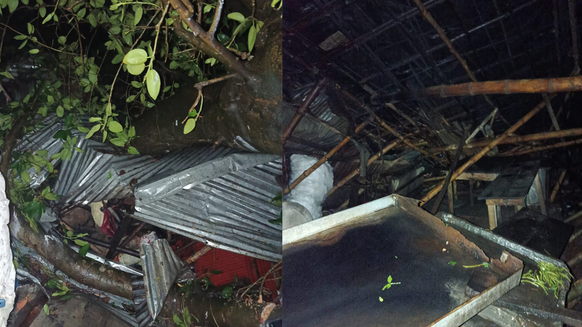 গাইবান্ধায় ঝড়ের সময় গাছ চাপায় নারীর মৃত্যু