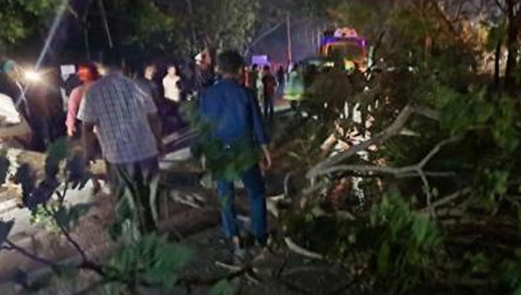 লাউয়াছড়ায় সড়কে গাছ ফেলে ডাকাতি