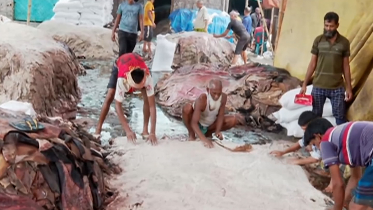 আমিনবাজার আড়তে ক্রেতা সংকট, সুযোগ নিচ্ছেন আড়তদাররা