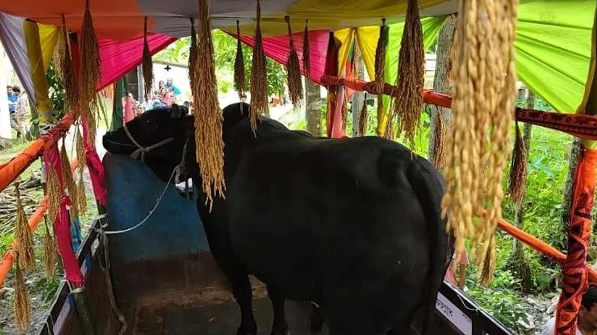 ‘কালো মানিক’ গ্রহণ করেননি খালেদা জিয়া