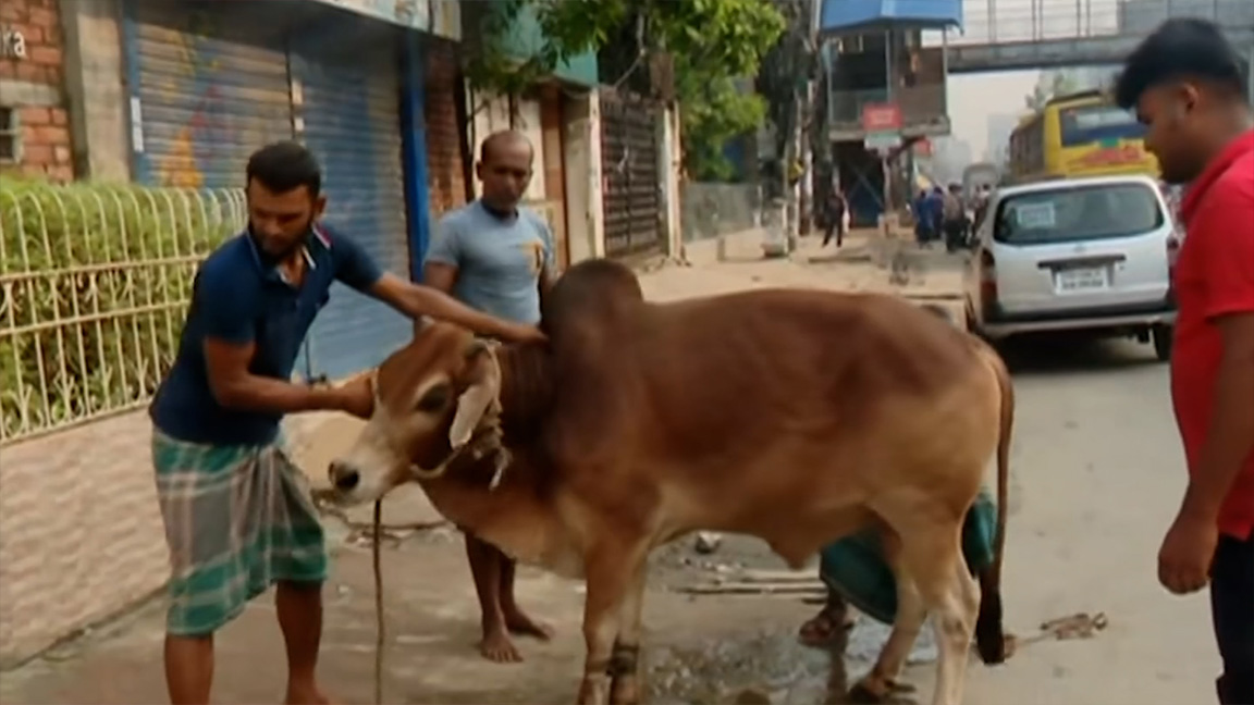 ঈদের দ্বিতীয় দিনেও চলছে পশু কোরবানি