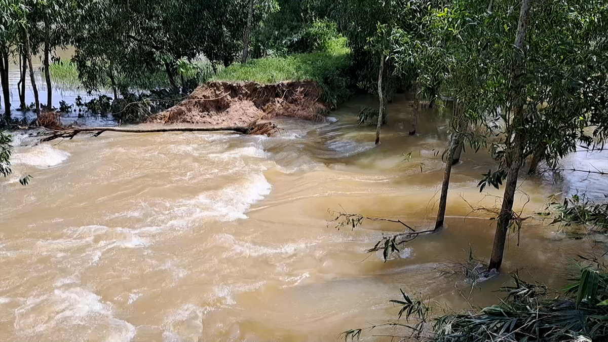 ফেনীতে বন্যা পরিস্থিতির উন্নতি, বেরিয়ে আসছে ক্ষয়ক্ষতি