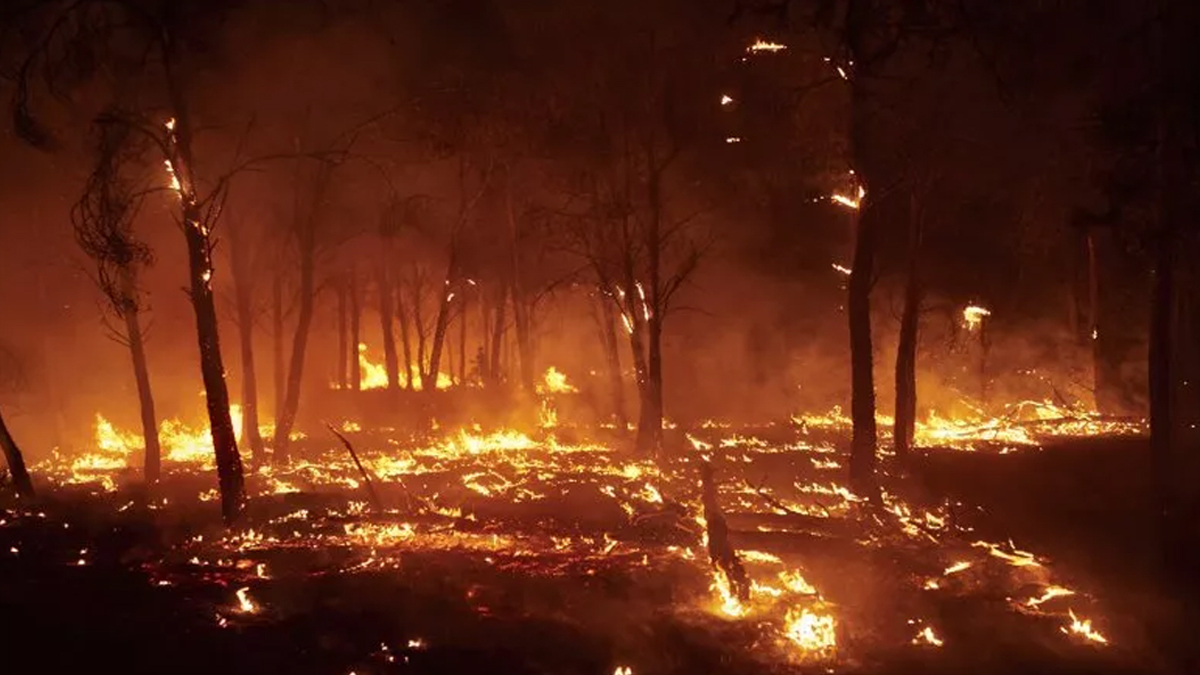 দাবানলে জ্বলছে দক্ষিণ ইউরোপ: হাজারো মানুষ ঘরছাড়া