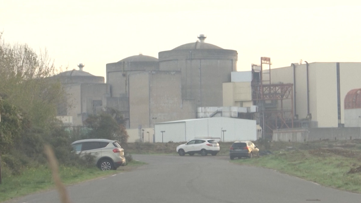 ফ্রান্সে নিউক্লিয়ার প্লান্টে জেলিফিশের ঝাঁক, বন্ধ পারমাণবিক কার্যক্রম