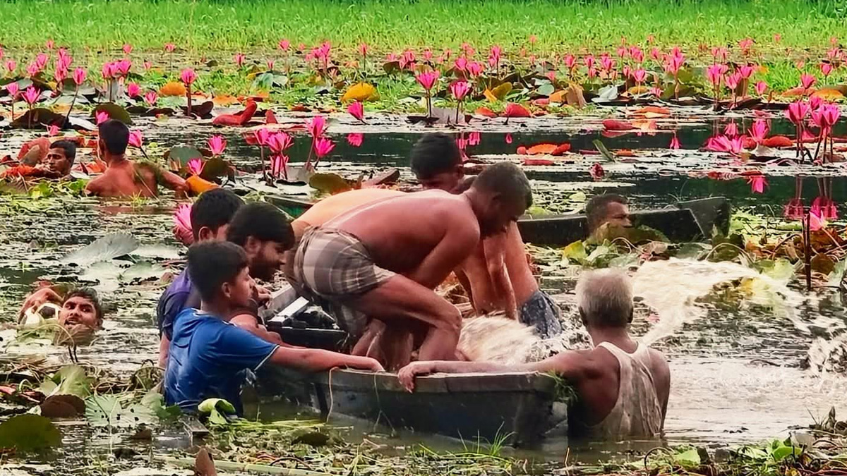 গাজীপুরে শাপলা তুলতে গিয়ে নৌকা ডুবে দুই বন্ধুর মৃত্যু