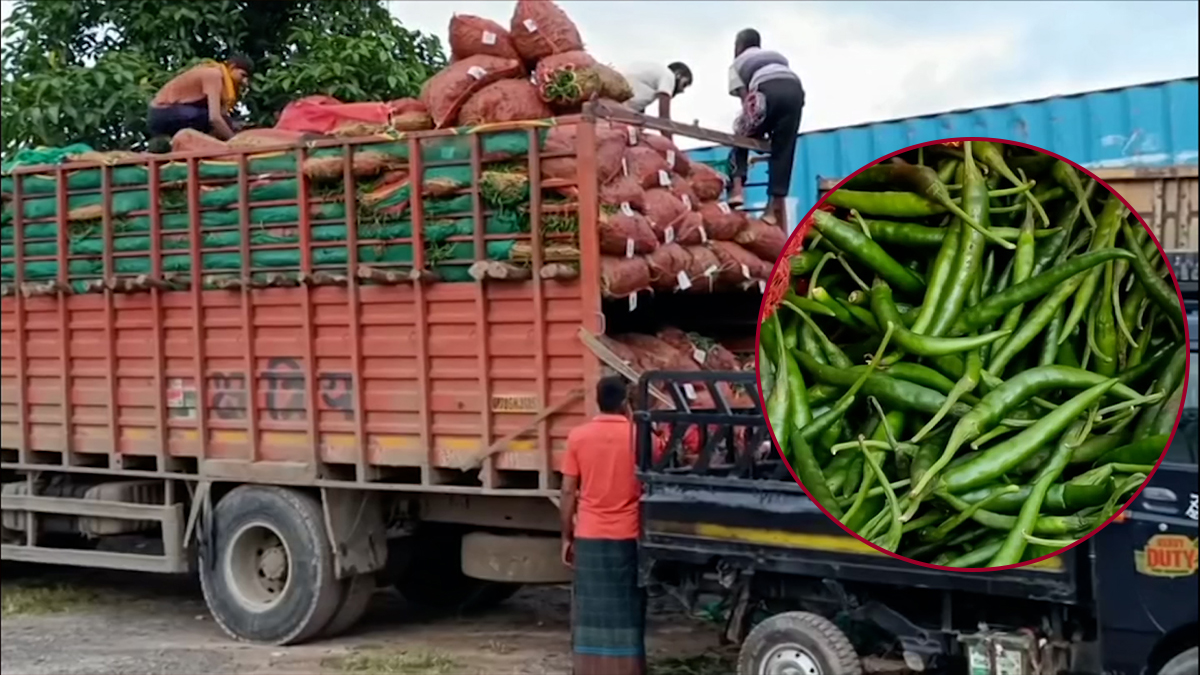 বেড়েছে কাঁচামরিচ আমদানি