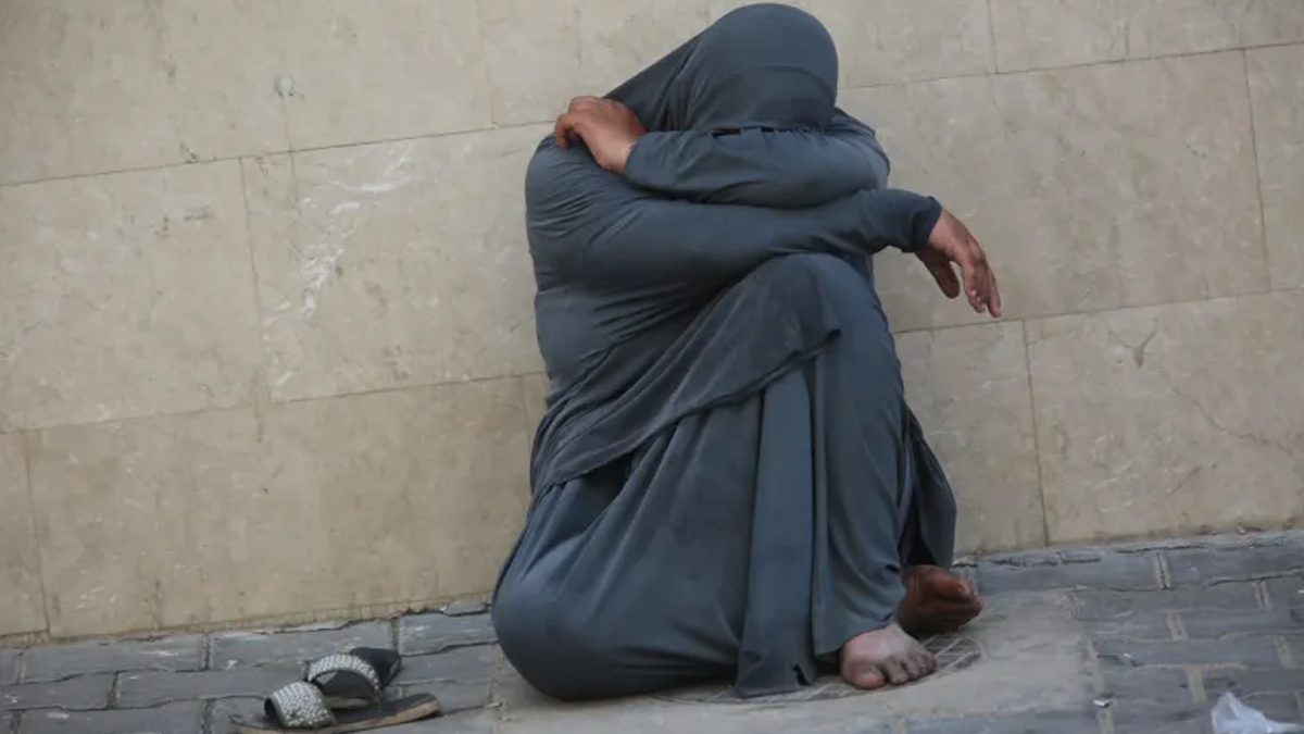 ফিলিস্তিনিরা এতোটাই দুর্বল যে ত্রাণ নিতে হেঁটে যেতে পারছে না: ডেনিশ রিফিউজি কাউন্সিল