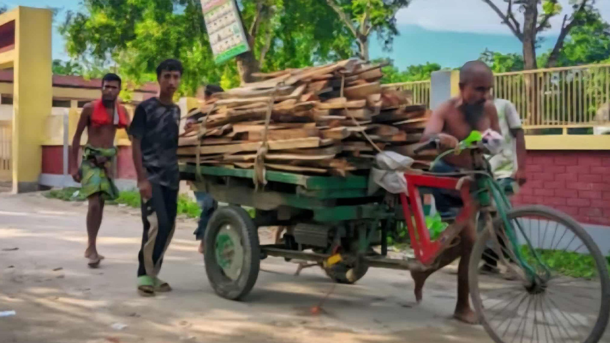 শেরপুরে কাঠবোঝাই ভ্যান উল্টে দাদা-নাতি নিহত